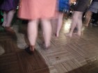 DSCN2029 DSCN2029
